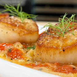 Scallops with Fennel Tomato Fondue