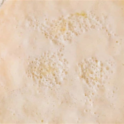 TFN Rustic White Kamut Sour Dough Bread Starter