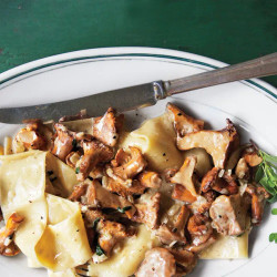 Fricassee Of Chanterelles