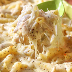Chicken Alfredo Bake Recipe
