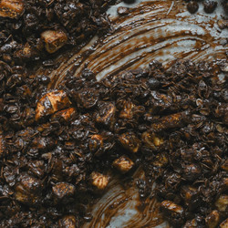 Dark Chocolate, Fennel &amp; Fig Granola