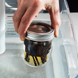 The Fastest Way To Make Homemade Vanilla Extract