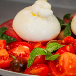 Tomato Burrata Salad