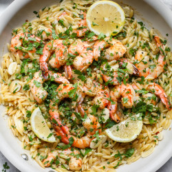 Shrimp Scampi Orzo