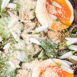Northern Thai Salad