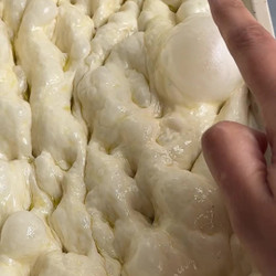 Same Day No Knead Garlic Butter Focaccia Recipe