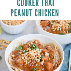 Low-fodmap Slow-cooker Thai Peanut Chicken; Gluten-free, Dairy-free