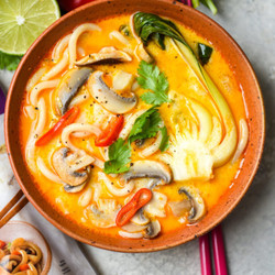 Thai Curry Coconut Udon Noodle Soup