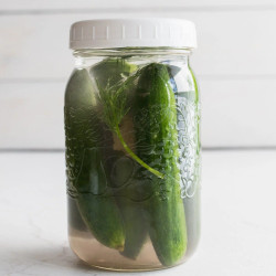 Homemade Fermented Pickles