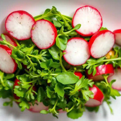Radish &amp; Arugula Spring Greens Salad