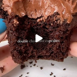 Double Chocolate Cupcakes