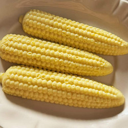 Sweet Corn Butter