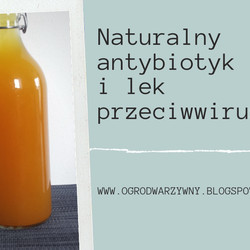 Naturalny Antybiotyk I Lek Przeciwwirusowy