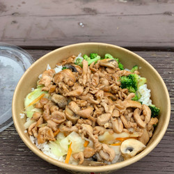 Japanese Teriyaki Chicken