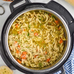 Instant Pot Chicken Noodle Soup