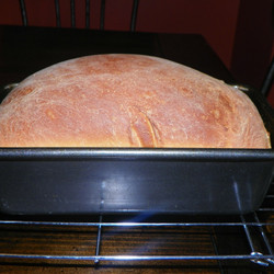 Easy &amp; Quick Amish Bread