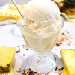Ninja Creami Pina Colada Ice Cream