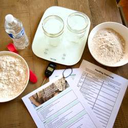 How To Make A Sourdough Starter