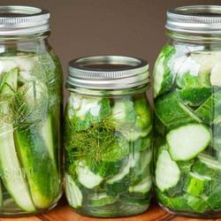 Easy Refrigerator Dill Pickles