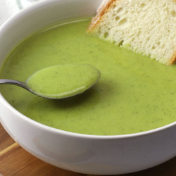 Yellow Squash Leek Soup