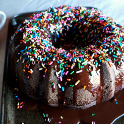 Vegan Chocolate Bundt Cake