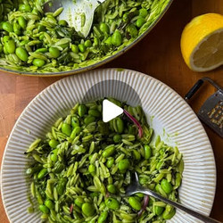 Edamame Orzotto