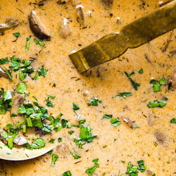 Hungarian Mushroom Soup