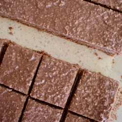 Chocolate Coconut Slice Recipe