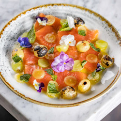 Salmon Crudo