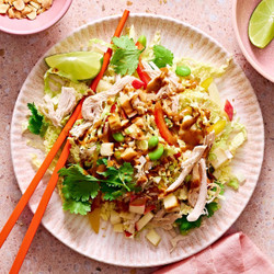Thai Chicken Salad With Light Peanut-lime Dressing