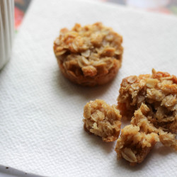Charlottesville's Honey Bunches
