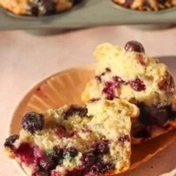 Fluffy One-bowl Blueberry Greek Yogurt Muffins (5g Protein!) 
