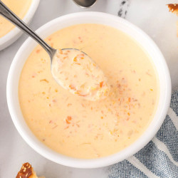 Crockpot Beer Cheese Soup