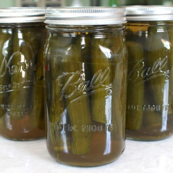 Homemade Sweet Gherkin Pickles