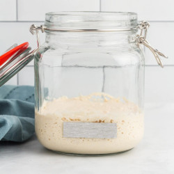 Gluten Free Sourdough Starter Recipe