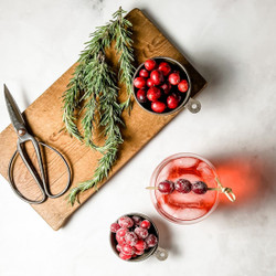 Easy Sugared Cranberries!