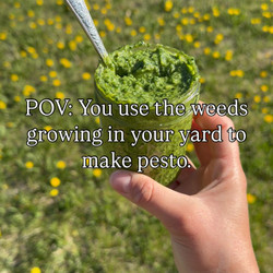 Dandelion Leaf Pesto
