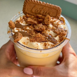 Ninja Creami Biscoff Ice Cream