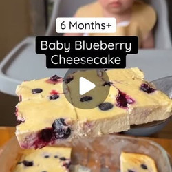 Baby Blueberry Cheesecake (6+ Months)