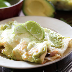 Honey Lime Chicken Enchiladas With Avocado Cream Sauce