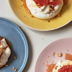 Individual Negroni Pavlovas