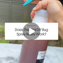 Cinnamon Spray Bug Repellent