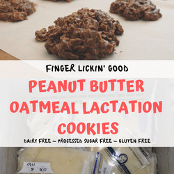 Oatmeal Peanut Butter And Chocolate Lactation Cookies