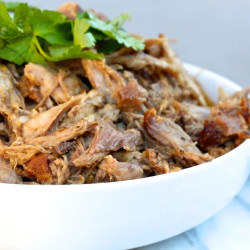 Apple Cider Vinegar Pulled Pork - The Defined Dish