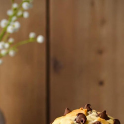 Chocolate Chip Muffins