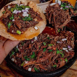 Barbacoa Beef Tacos