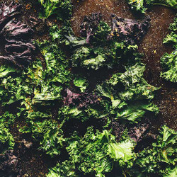 How To Make Kale Chips