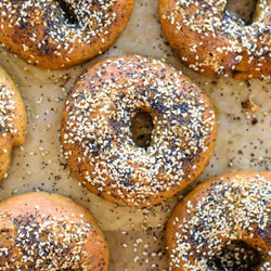 Homemade New York Style Bagels