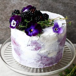 Plantbased Birthday Cake (gluten-free &amp; Vegan)