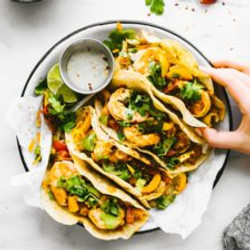 Crock Pot Fire Roasted Tomato Shrimp Taco Recipe